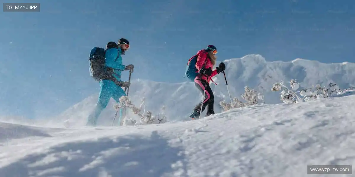 📱边看边聊,与全球球迷共享精彩时刻!💬